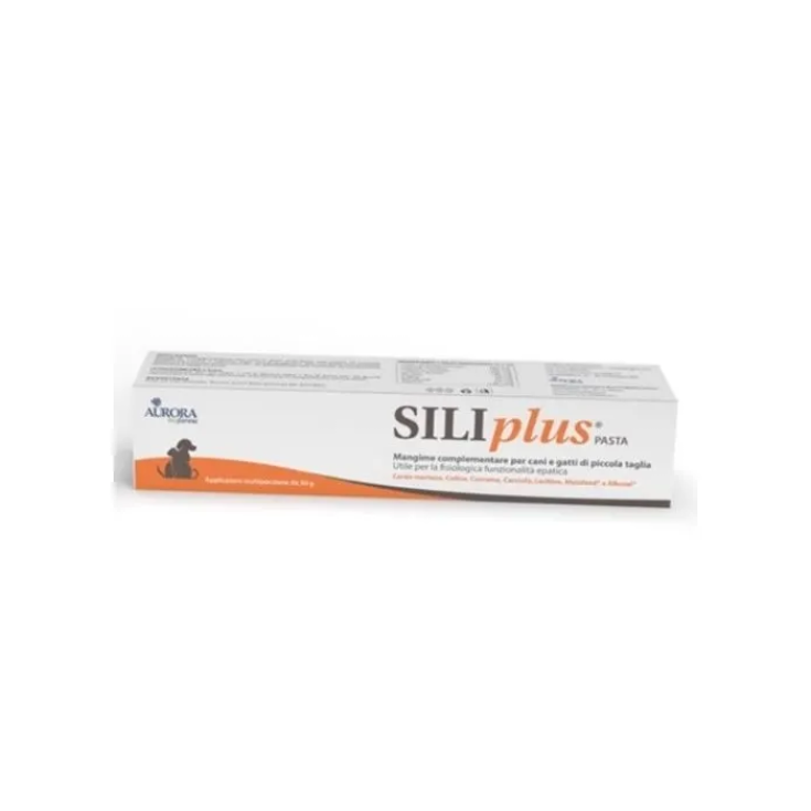 Siliplus Pasta Aurora Biofarma 30g