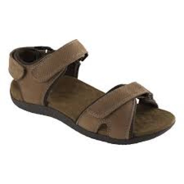 BARWON UOMO MARRONE N41 Dr.Scholl's&reg;