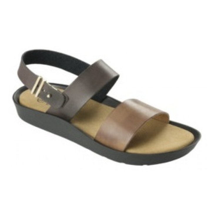 MAMORE SANDALO DONNA BRW/BRW N41 Dr.Scholl's&reg;