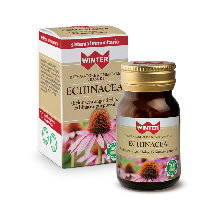 Echinacea Winter&reg; 30 Capsule