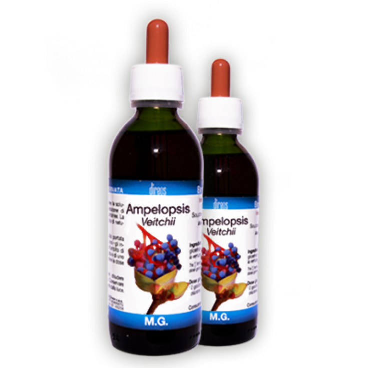 Ampelopsis Veitchii M.G. Direos 150ml