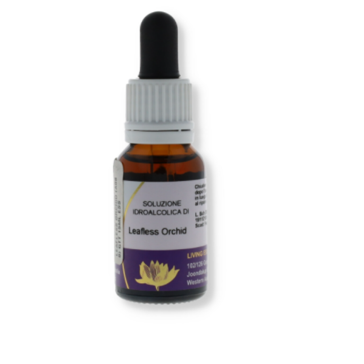 Leafless Orchid Essenza Australiana 15ml
