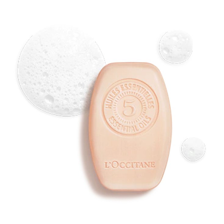 SHAMPOO SOLIDI SHAMPOO RIPARATORE INTENSO L'OCCITANE 60g