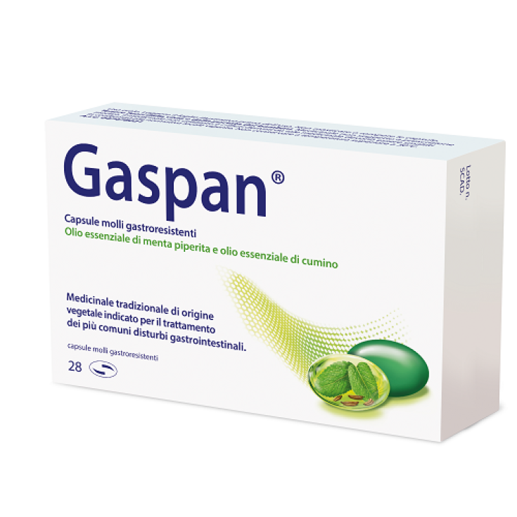 Gaspan Schwabe 28 Capsule Molli Gastroresistenti