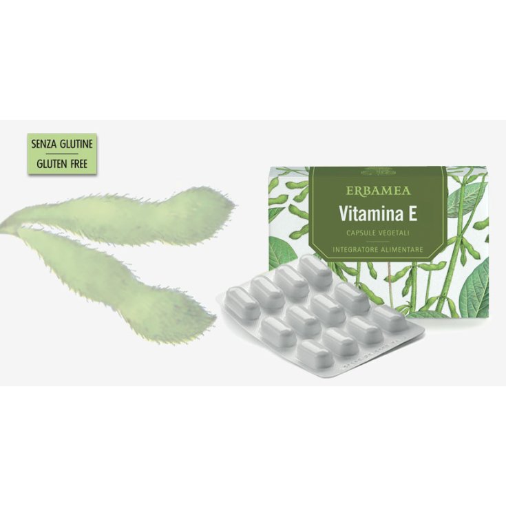 Vitamina E ERBAMEA  24 Capsule