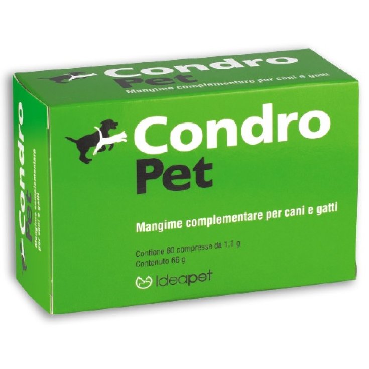 Condro Pet - 60X60CPR
