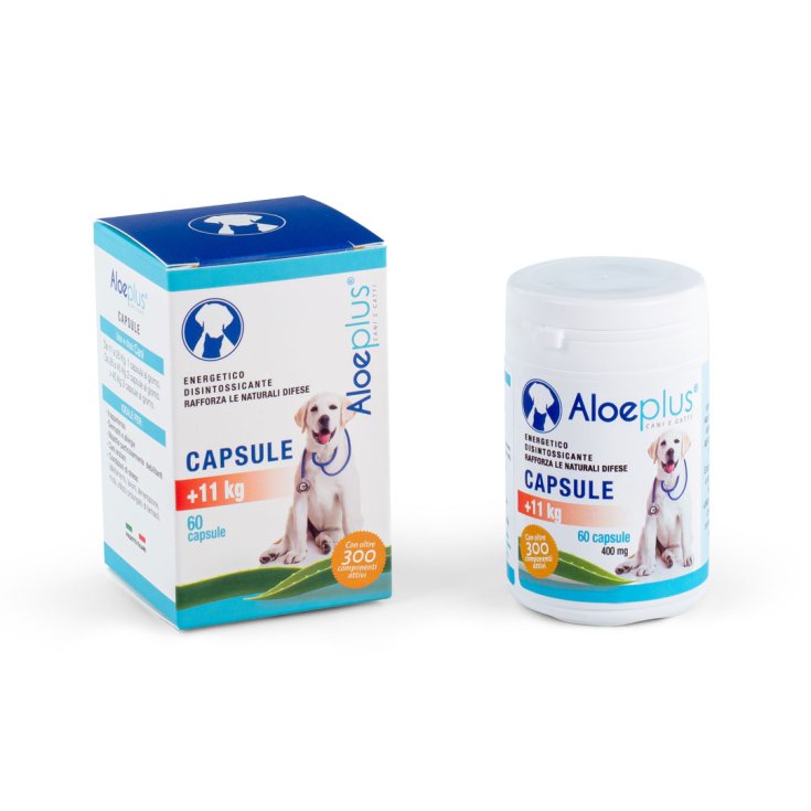 Aloeplus Capsule - Capsule