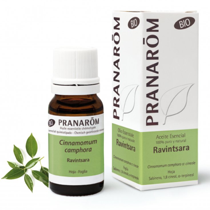 Olio Essenziale Ravintsara Pranar&ocirc;m 10ml
