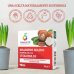 Shampoo Solido Vitamina B5 Colours Of Live Skin Supplement 80g