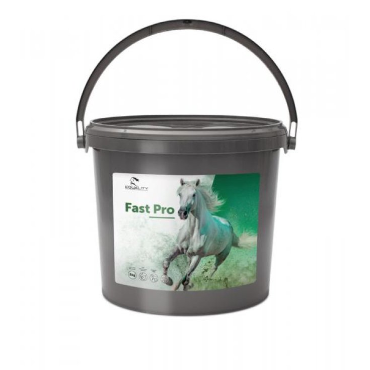 Fast Pro Equality 2kg