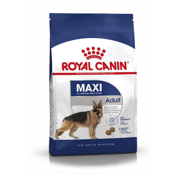 Maxi Adult - 4KG