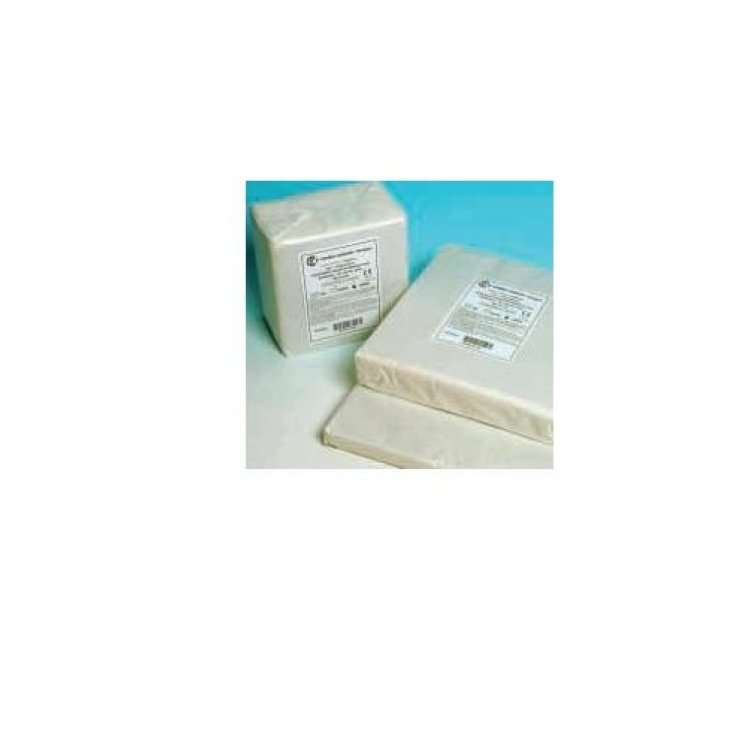 Garza 12/8 Idrofila 10x10cm Salvadori Luigi 1kg