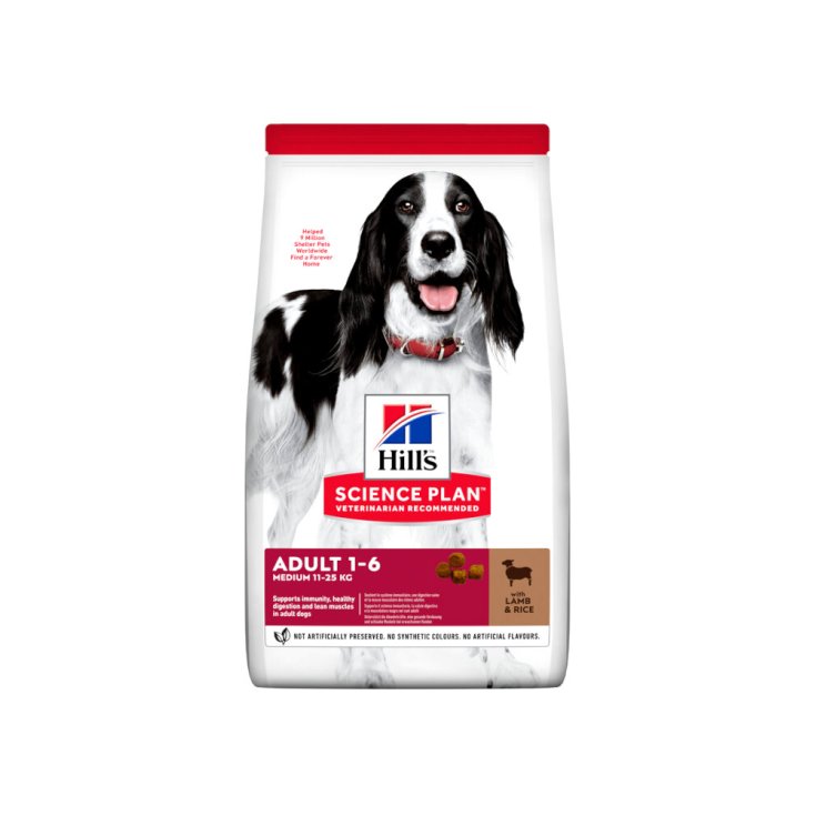 Science Plan Adult Medium con Agnello e Riso - 12KG