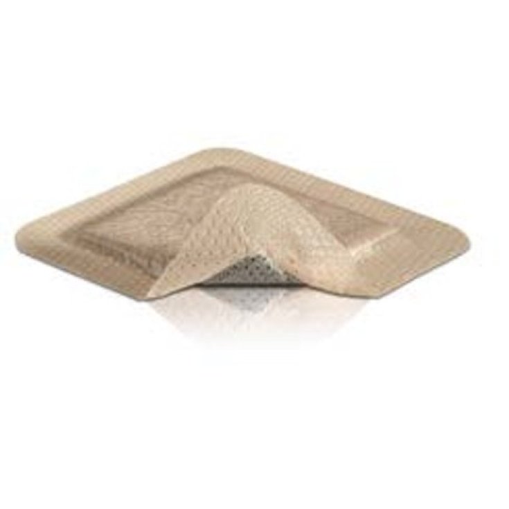 Mepilex Border Ag 15x15cm M&ouml;lnlycke Health Care 5 Pezzi