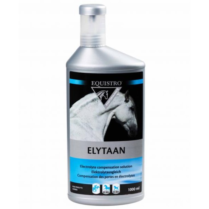 Elytaan Equistro 1000ml