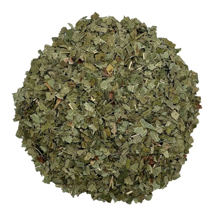 Ribes Nero Foglie Taglio Tisana 100g