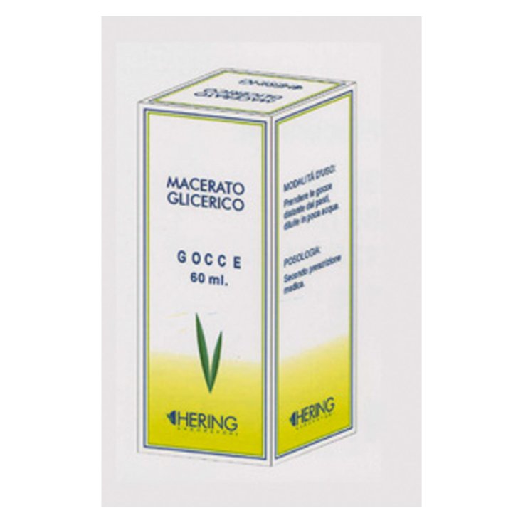 Betula Pubescens Gemme HERING 60ml