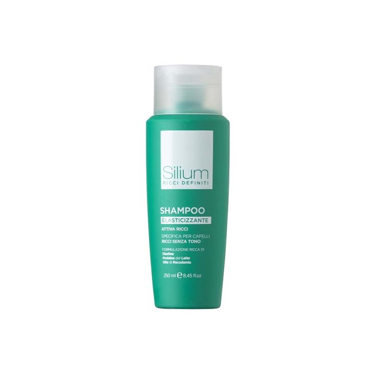 Ricci Definiti Shampoo Silium 250ml