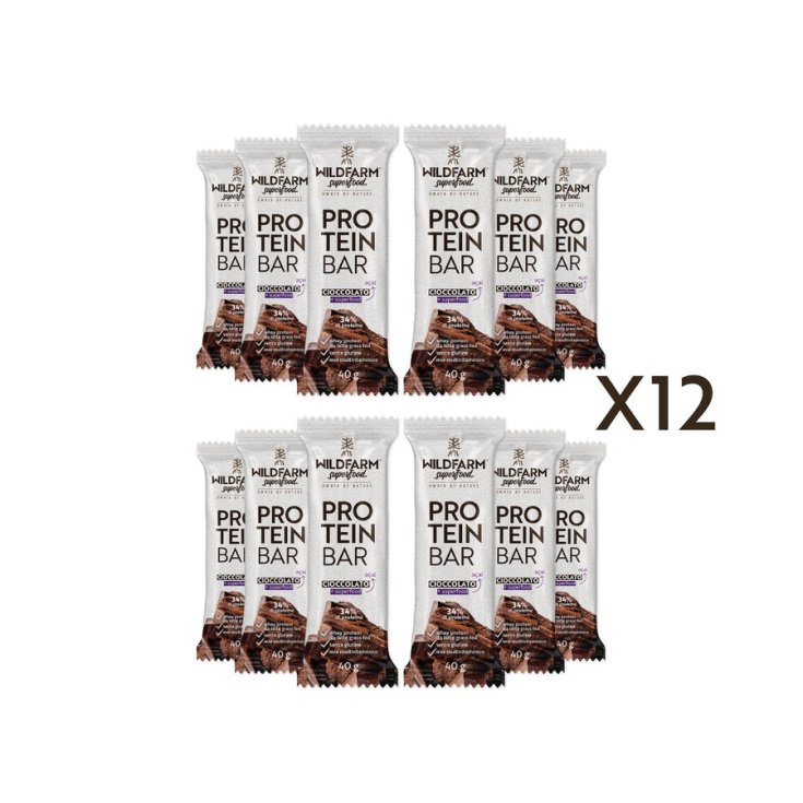 Protein Bar Cioccolato Fondente Wild Farm 12 Pezzi