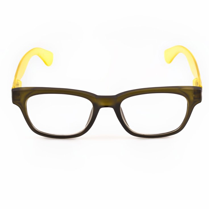 Legend Light Marrone +3,00 Contacta&reg; 1 Pezzo