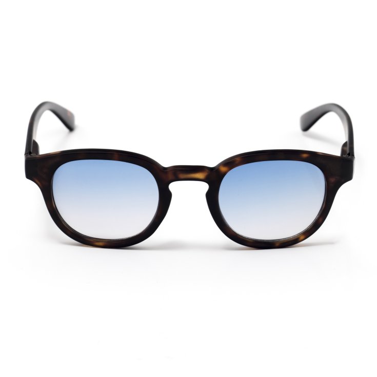 Hipsun Demi Lente Blu Sfumata Contacta&reg; 1 Pezzo