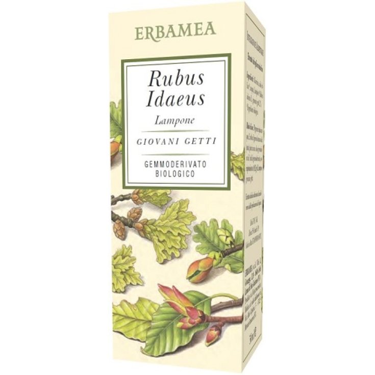 Rubus Idaeus&nbsp;Gemmoderivato Biologico Erbamea 50ml