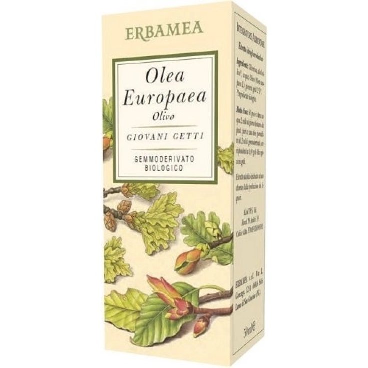 Olea Europea Gemmoderivato Bio Erbamea 50ml