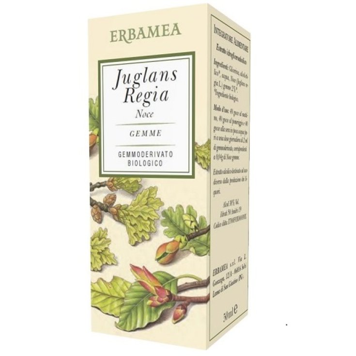 Juglans Regia Gemmoderivato Biologico Erbamea 50ml