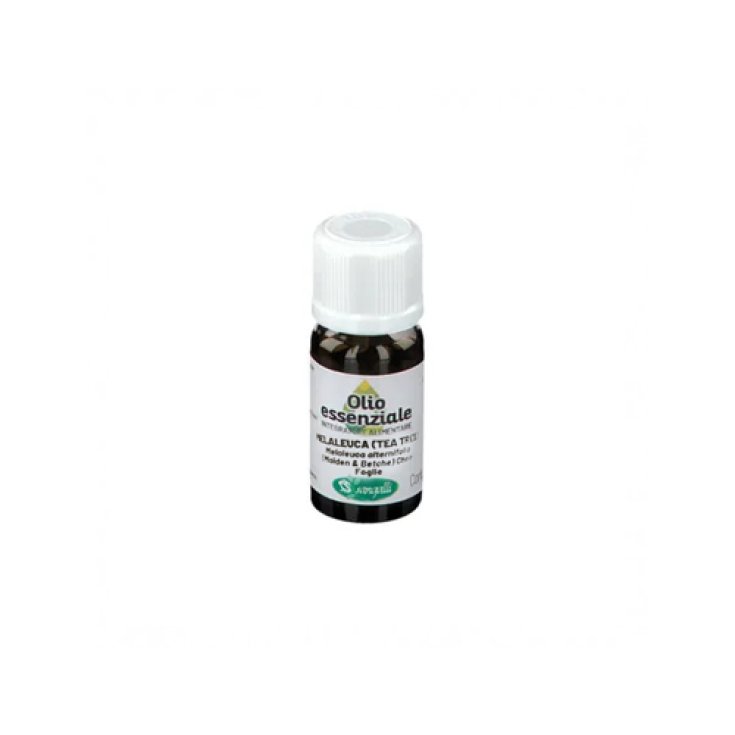 Melaleuca Olio Essenziale Sangalli 10ml