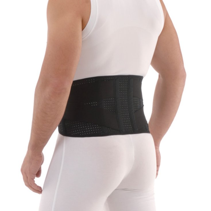 Plurival Corsetto Elastico 20cm Tg.XXL FGP