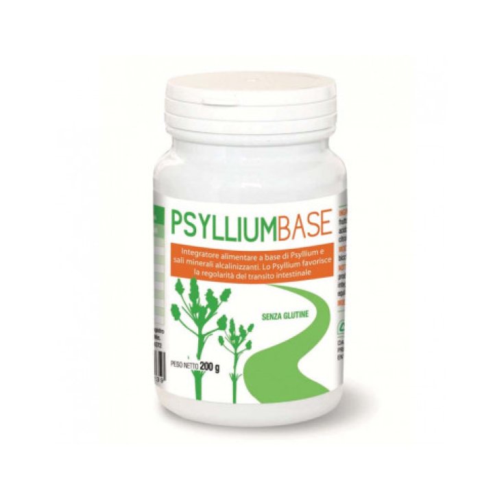 Psyllium Base AVD Reform 200g