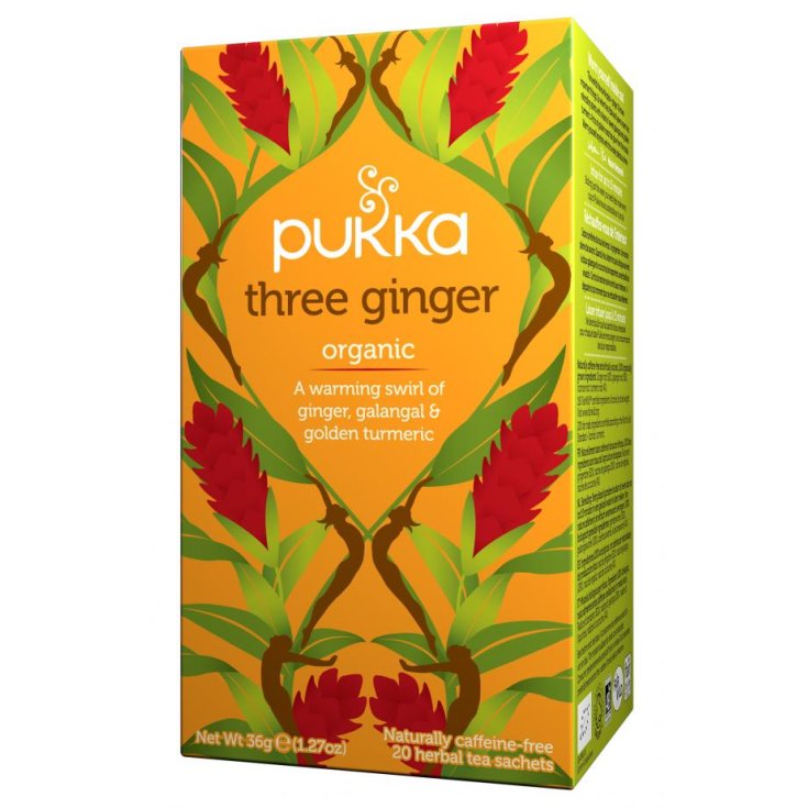 Three Ginger Pukka 20 Filtri