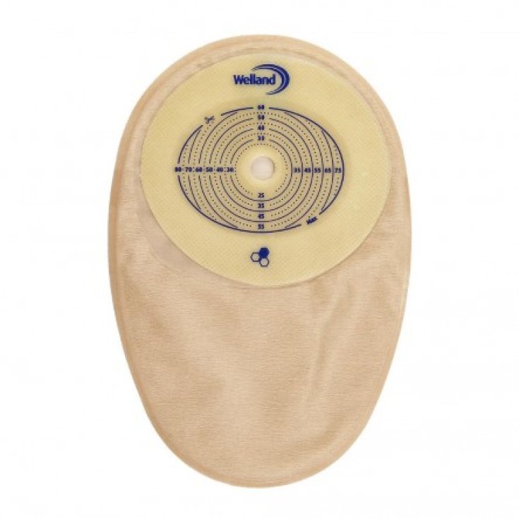 Aurum&reg; Colo Opaca Pretagliata 25mm 30 Pezzi