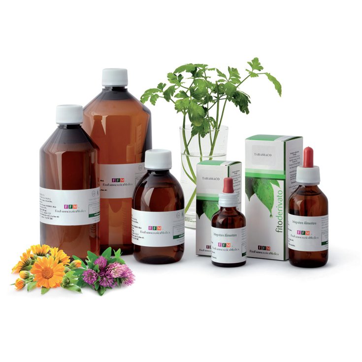 Pino Silvestre TM Fitofarmaceutica Medica 250ml