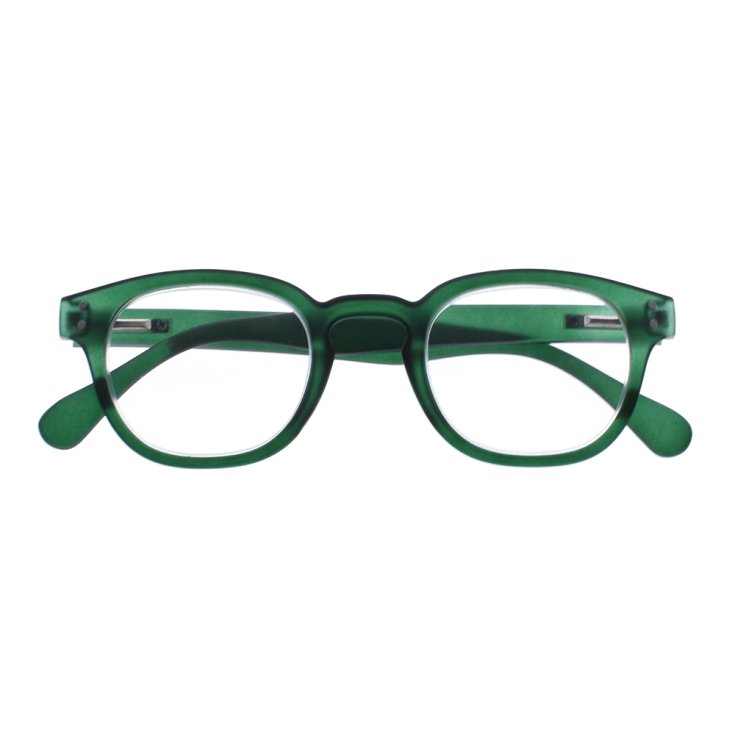 Occhiali da Lettura Everest Verde 3,0&nbsp;Sanico