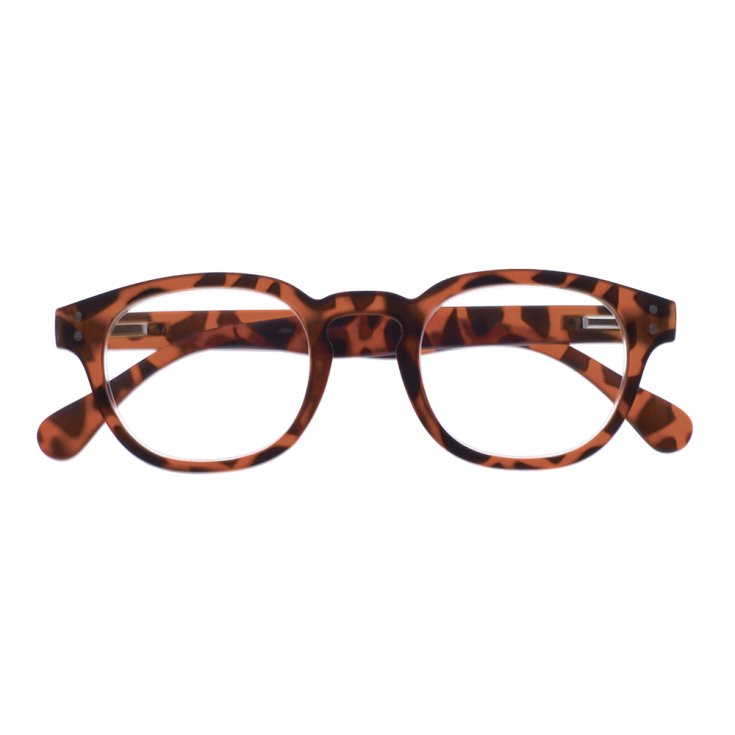 Occhiali da Lettura Everest Turtle&nbsp;1,0&nbsp;Sanico