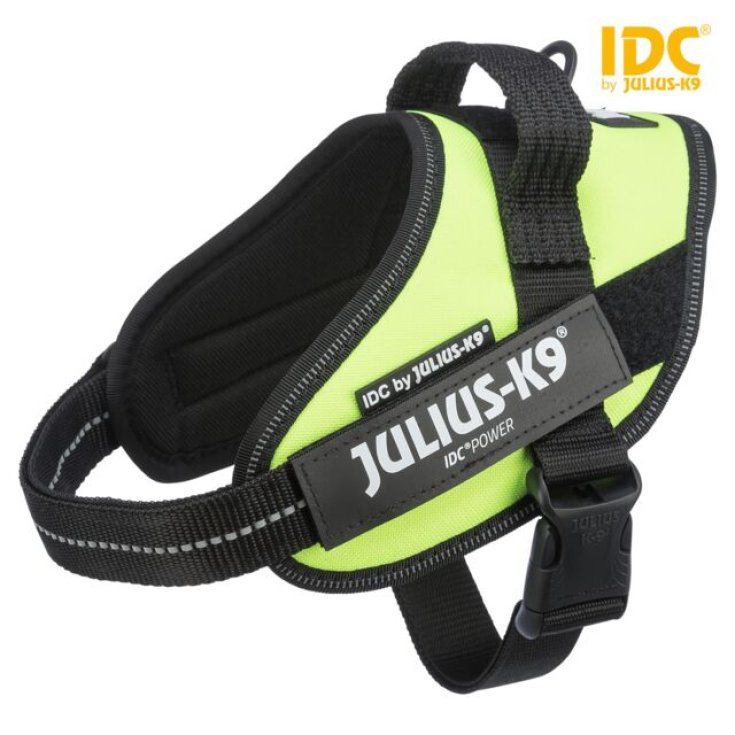 Julius-K9 Pettorina per cani IDC Powerharness Tg. Baby 1