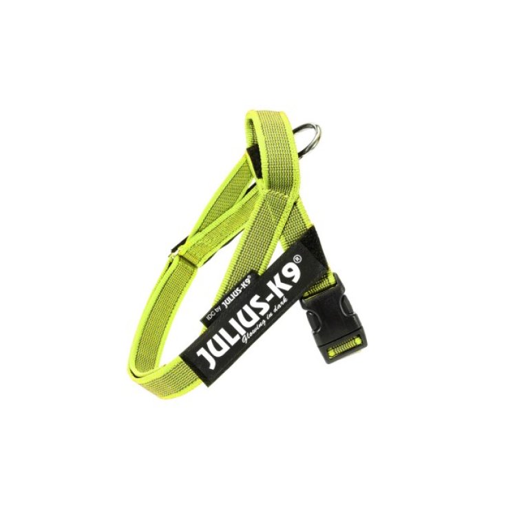 Pettorina IDC Color & Gray Belt Harnes Giallo Tg.XS&nbsp;Julius-K9