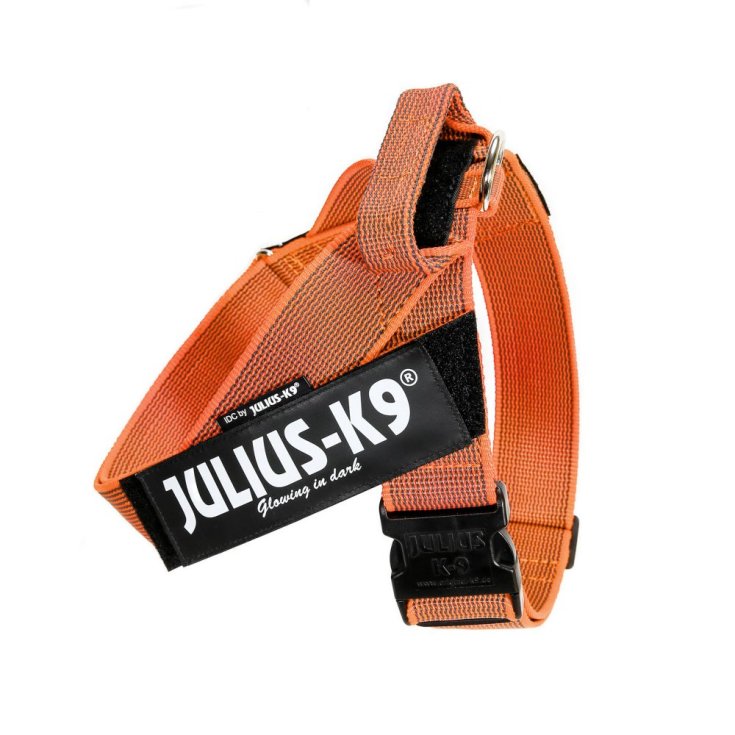 Pettorina IDC Color & Gray Belt Harnes Arancione Tg.2XL&nbsp;Julius-K9