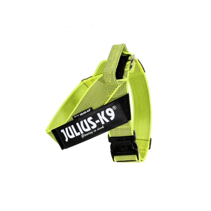 Pettorina IDC Color & Gray Belt Harnes Giallo Tg.2XL&nbsp;Julius-K9