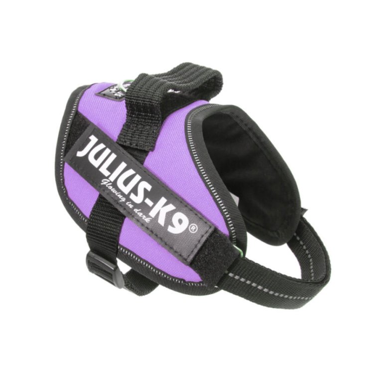 Pettorina Porpora Tg.Mini Mini IDC Power Harness Julius-K9