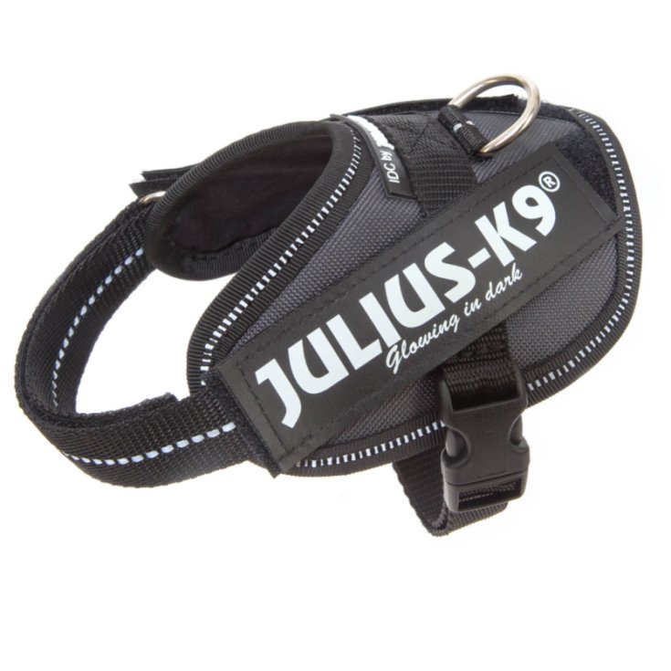Pettorina Antracite Tg.Baby 2 IDC Power Harness Julius-K9