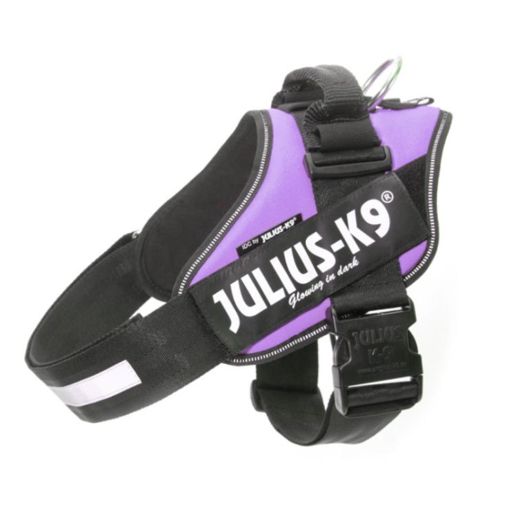 Pettorina Porpora Tg.1&nbsp;IDC Power Harness Julius-K9