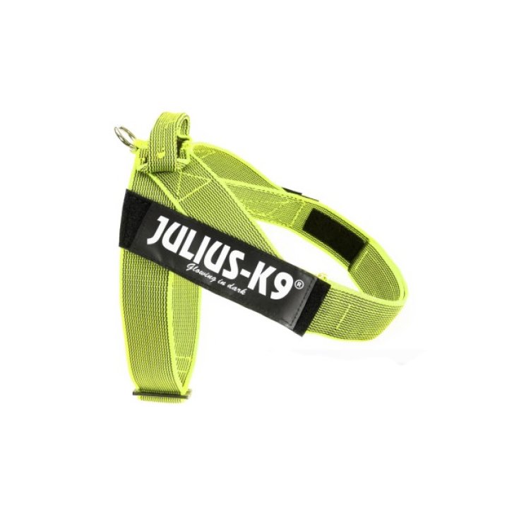 Pettorina IDC Color & Gray Belt Harnes Giallo Tg.XL&nbsp;Julius-K9