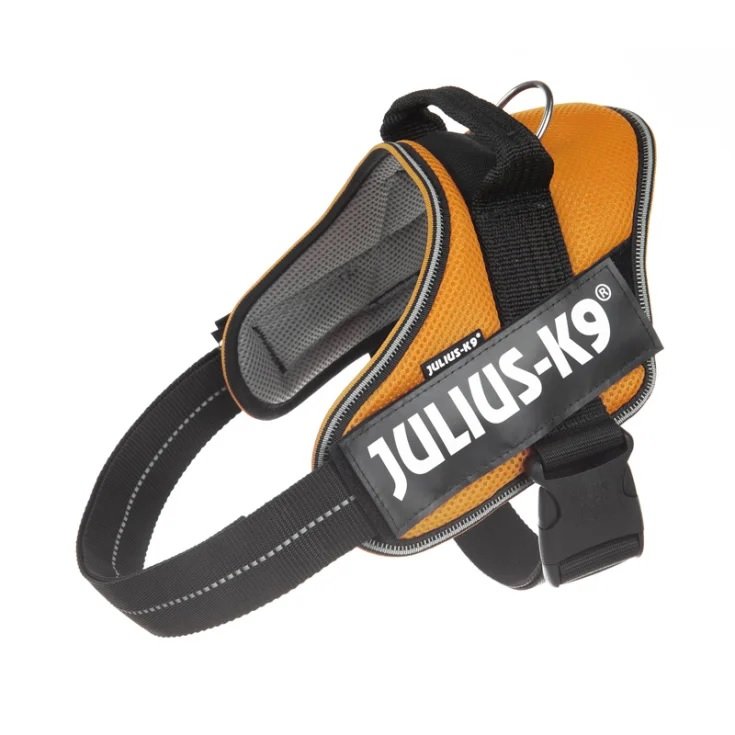 Pettorina Estiva Arancione Tg.L Powair Julius-K9