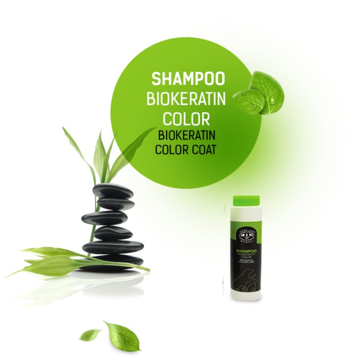 Shampoo Bio Keratin Color - 250ML