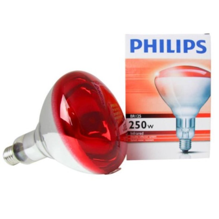 Philips Lampadina 250W Infrared Per 28653 Gima 1 Pezzo