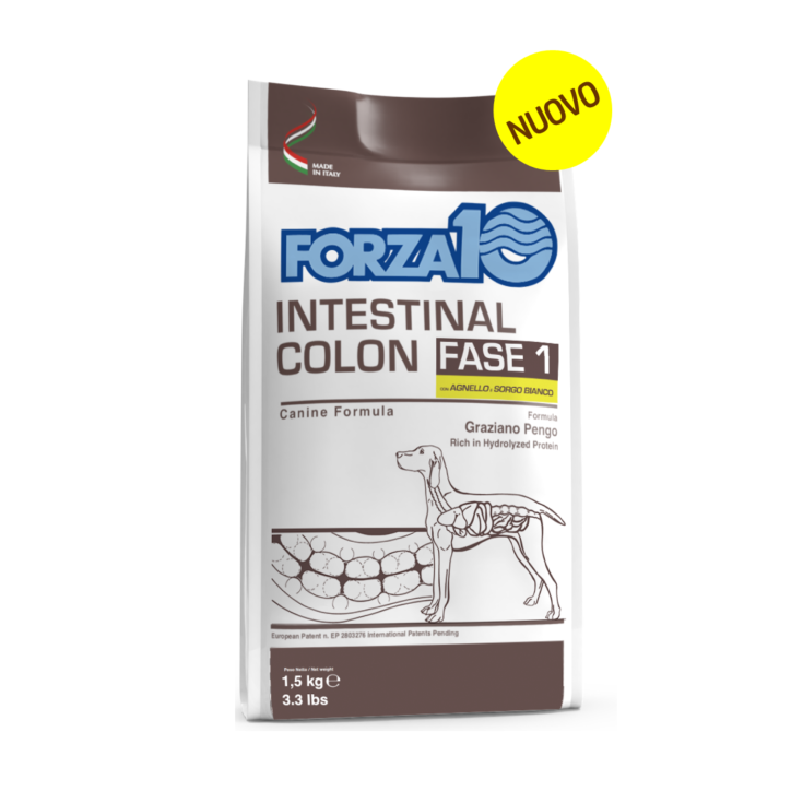 Active Intestinal Colon Fase 1 con Agnello e Sorgo - 1,50KG
