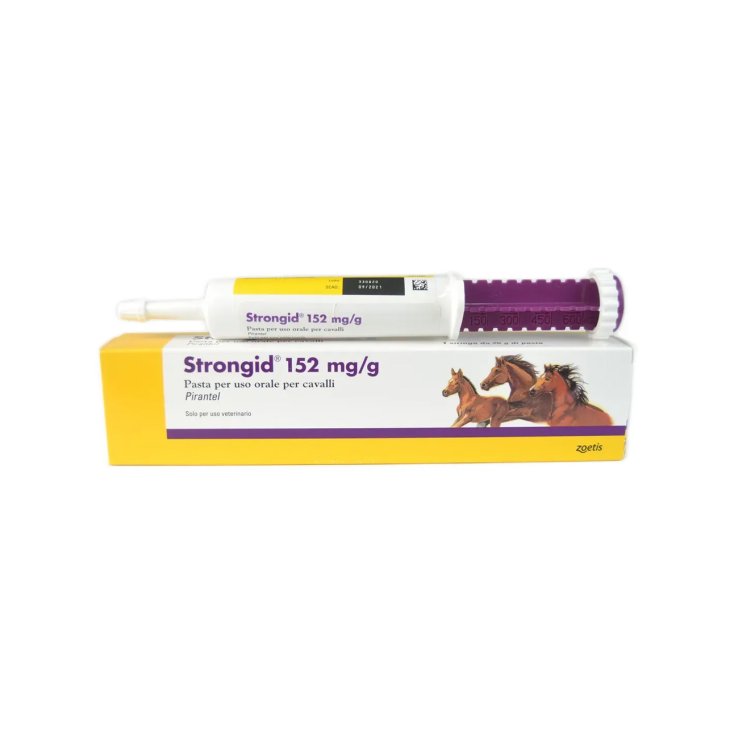 Strongid&reg; 152mg/g Pasta Orale Zoetis 1 Siringa