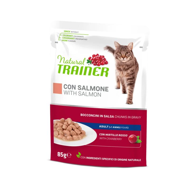 Bocconcini In Salsa Con Salmone Natural Trainer 85g